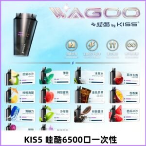 Kis5電子煙 Kiss拋棄式哇酷|WAGOO6500口一次性電子煙