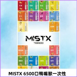 MIST X 鴨嘴獸6500口拋棄式電子煙#台灣現貨#