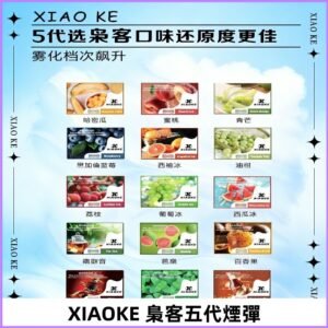 梟客五代煙彈|XIAOKE可替換式電子煙|通用Relx6代|ILIA五代主機